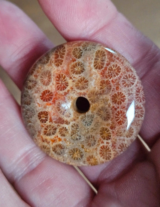 Natural Fossil Coral Jasper Donut Pendant – Autumn Orange Polished Gemstone Pi Disc