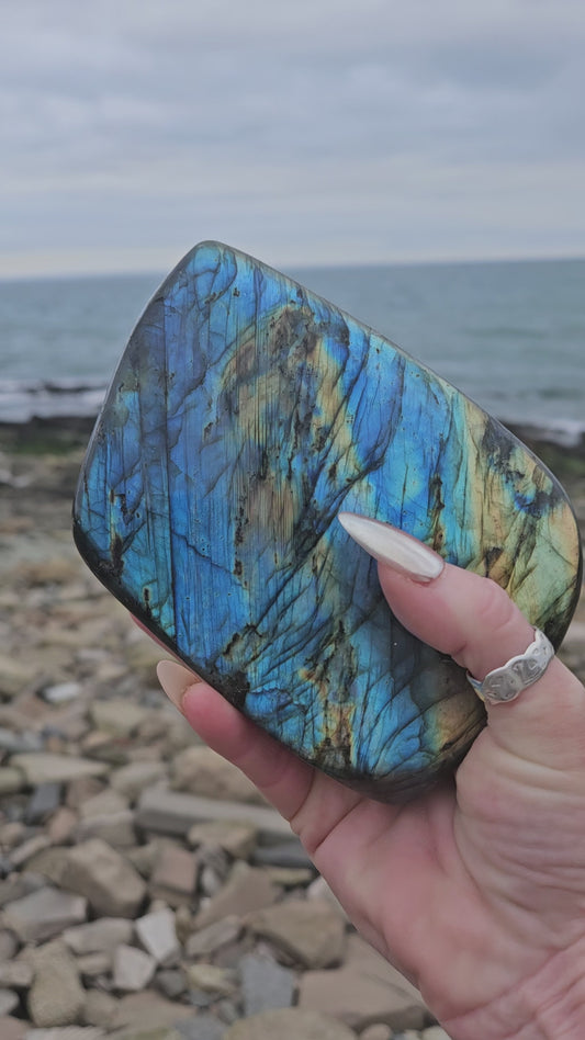 Ultra Flash Labradorite Freeform – Large Blue Fire Labradorite Crystal Display Stone 830g