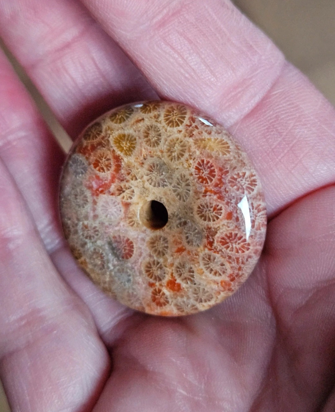 Natural Fossil Coral Jasper Donut Pendant – Autumn Orange Polished Gemstone Pi Disc