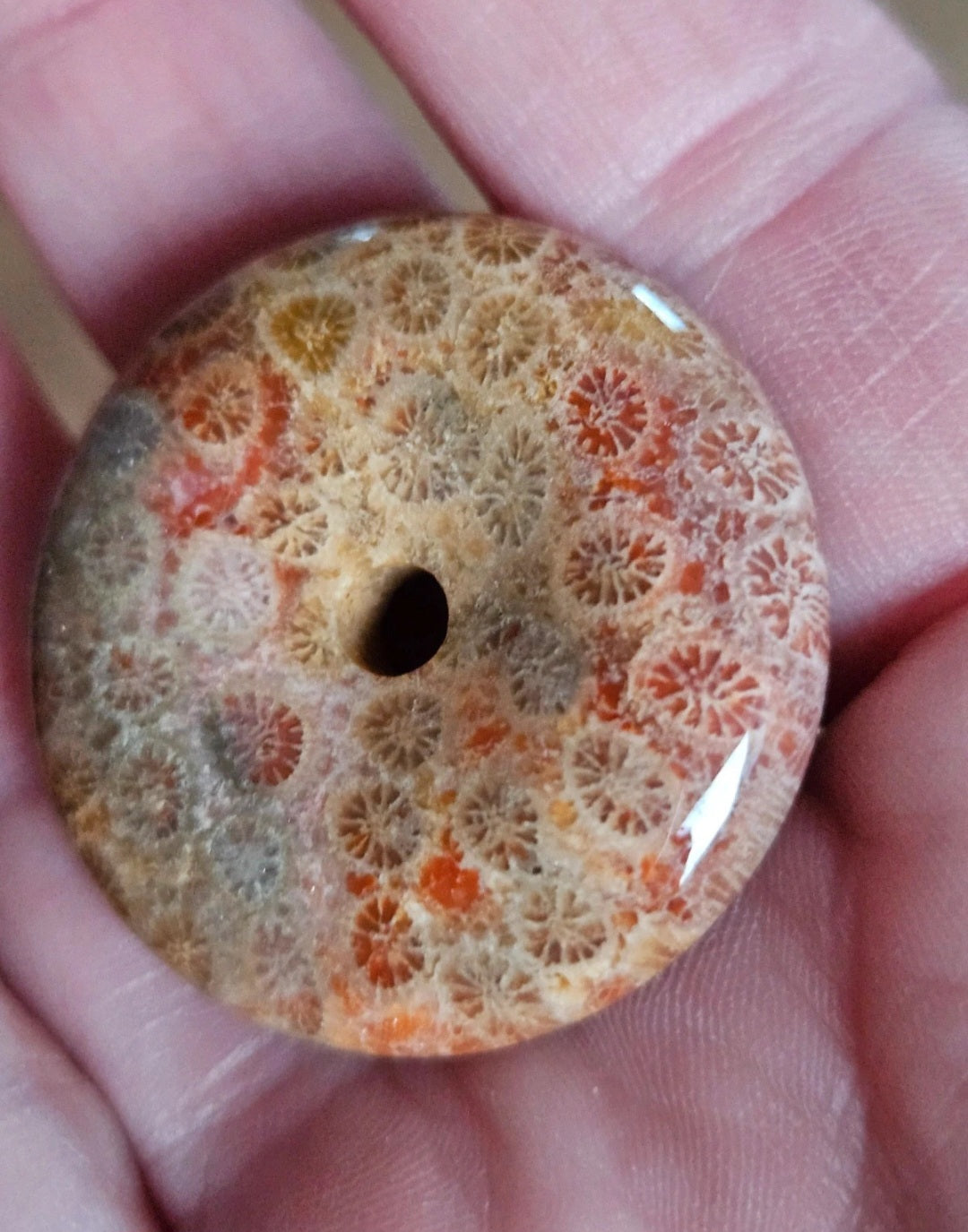 Natural Fossil Coral Jasper Donut Pendant – Autumn Orange Polished Gemstone Pi Disc