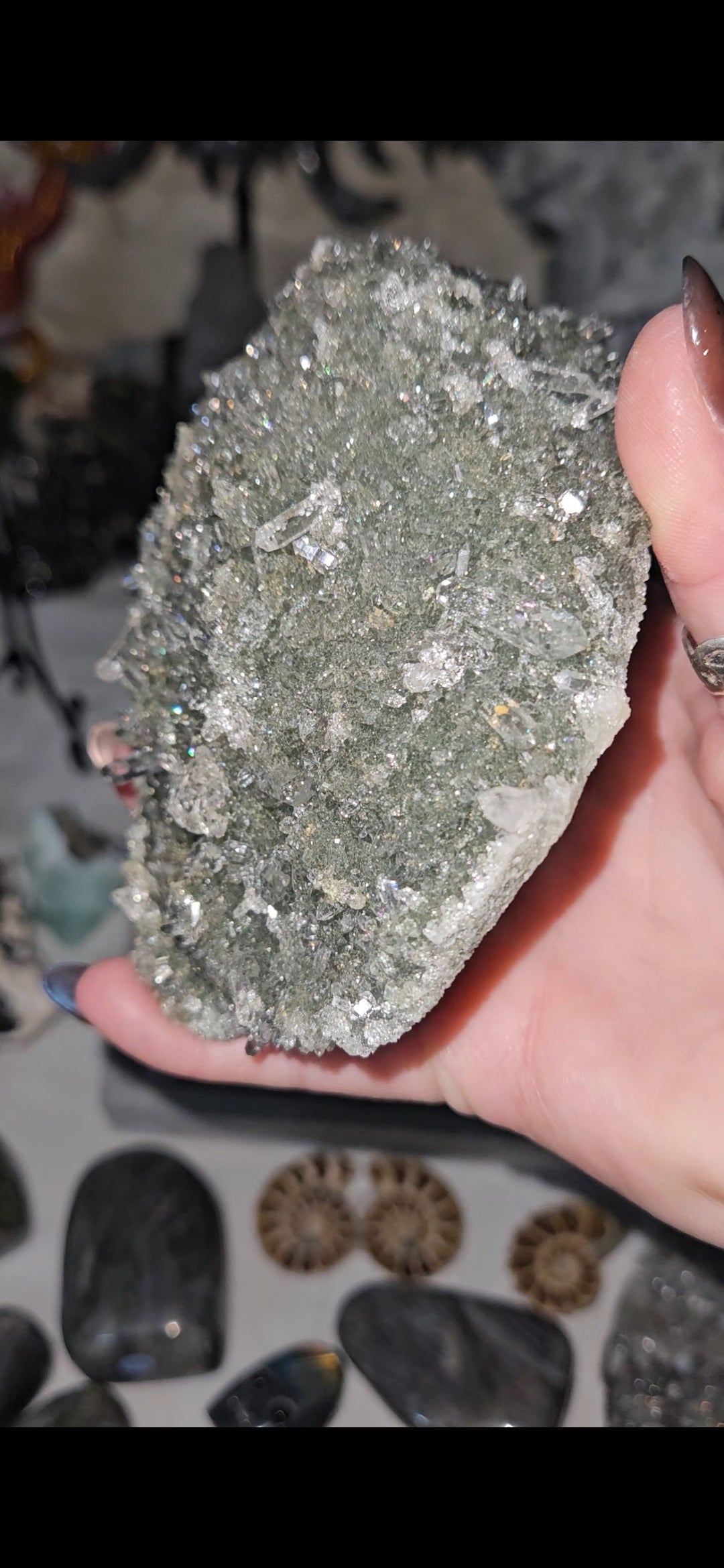 Himalayan Chlorite Quartz Specimen Mineral