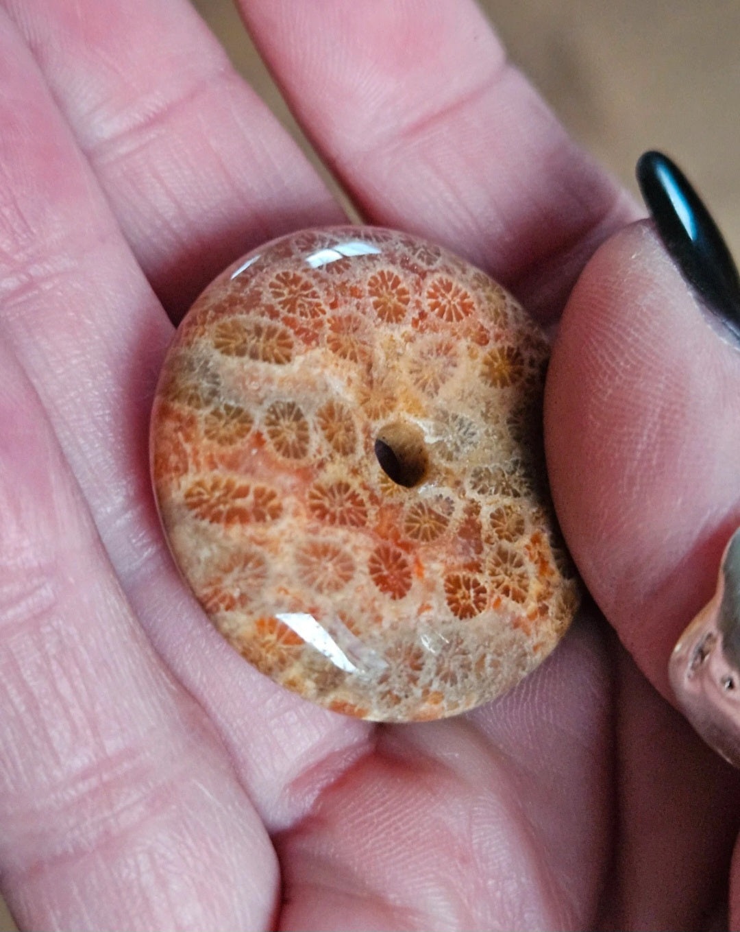 Natural Fossil Coral Jasper Donut Pendant – Autumn Orange Polished Gemstone Pi Disc